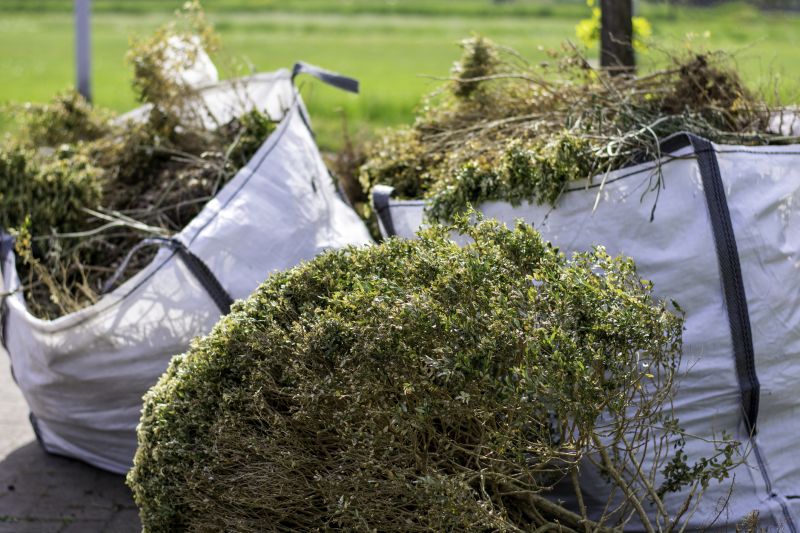 Brush Clearing Service in Houston, TX