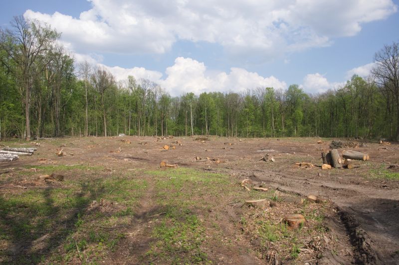 Land Clearing in Houston, TX