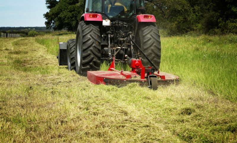 Pasture Clearing in Katy, TX